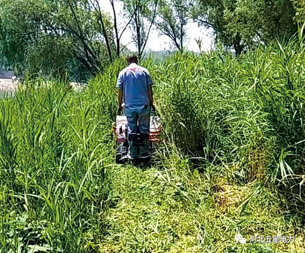 瓦爾特·御虹”WX-800型履帶自行走式堤防割草機